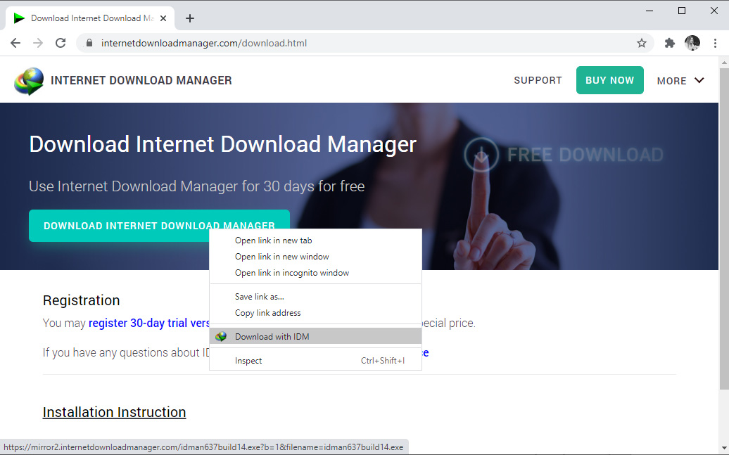 IDM 浏览器集成支持